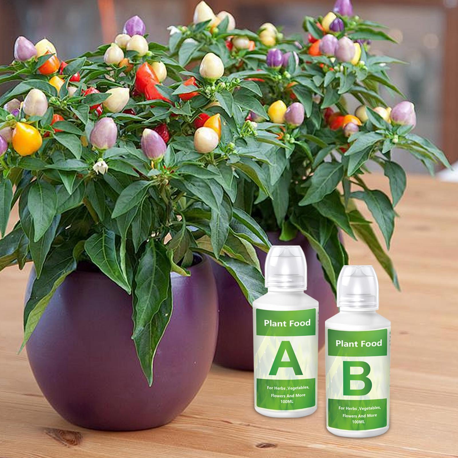 Nutrient Solution Ab - Hydroponische voedingsstoffen Meststof AB Oplossingsset Hydroponische